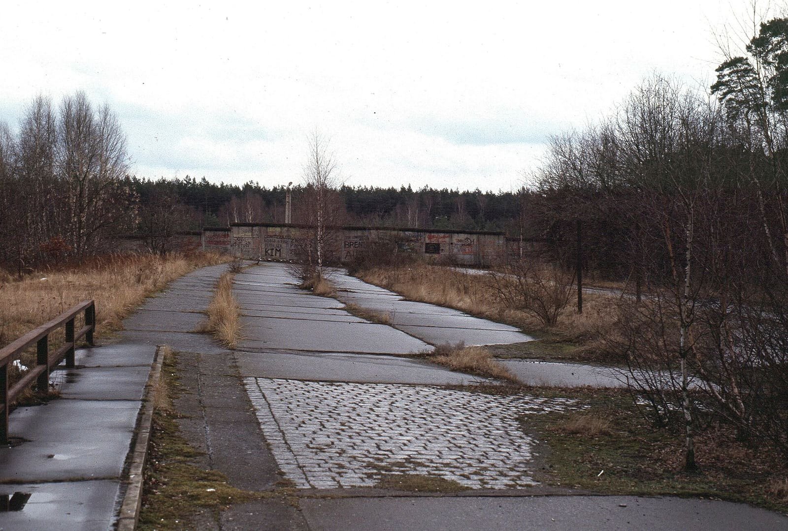 A cracked, overgrown concrete dual carriageway leading towards a graffiti-covered wall in a pine forest.