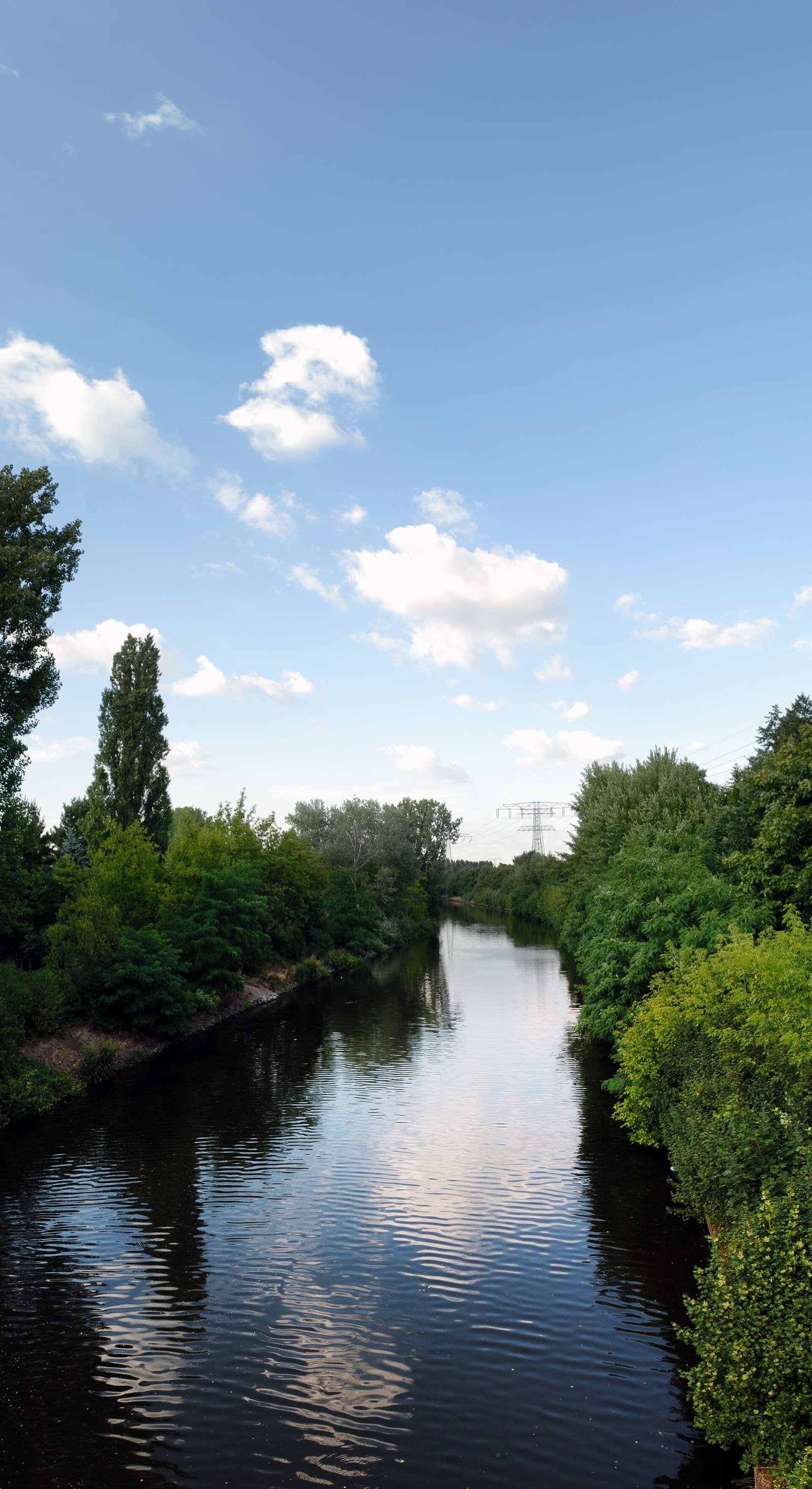A straight, still canal between banks of dense green trees under a blue summer sky, with an electricity pylon in the distance.