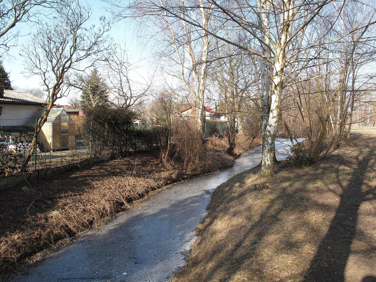 A narrow iced-over ditch winding between allotment gardens and birch trees on a sunny winter day.