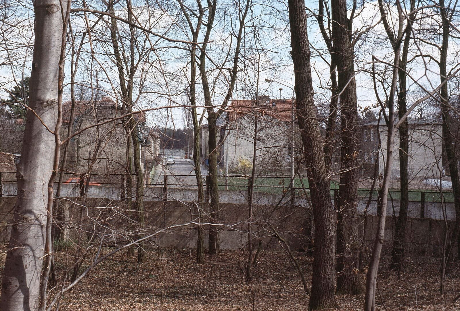 Colour photo: through bare trees in a wood, a grey concrete wall and fence cut across the view; behind them a village street with houses and a parked car.