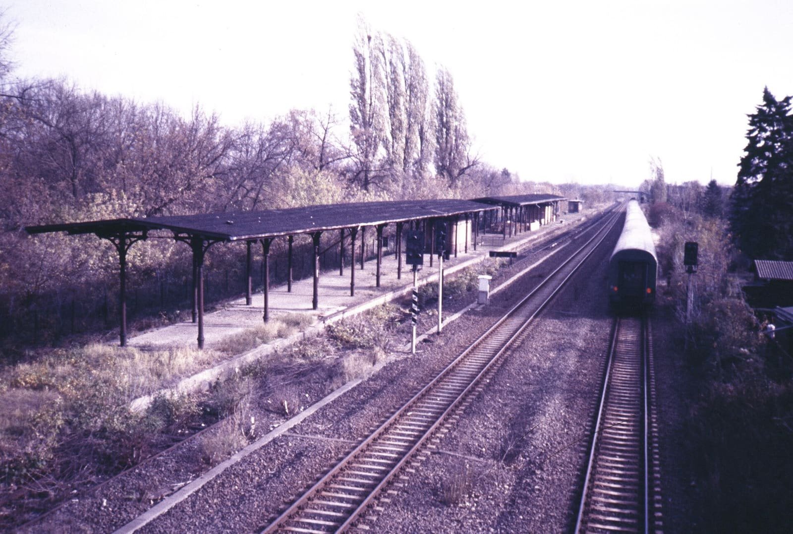 Colour photo taken from a bridge: an empty, weed-grown platform with a long canopy on iron posts runs beside the tracks; a train of coaches stands on the right-hand track, with poplars and autumn trees behind.